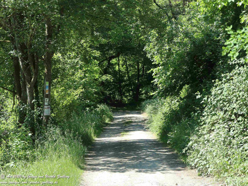 Philosophische Bildwanderung Wispertalsteig Wisper Trail - Taunus