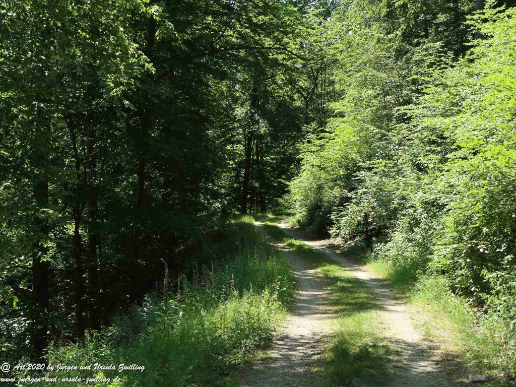 Philosophische Bildwanderung Wispertalsteig Wisper Trail - Taunus