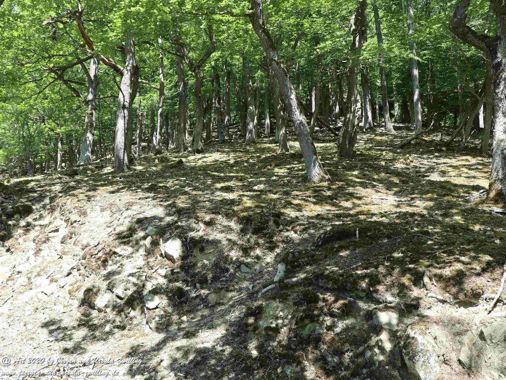 Philosophische Bildwanderung Wispertalsteig Wisper Trail - Taunus