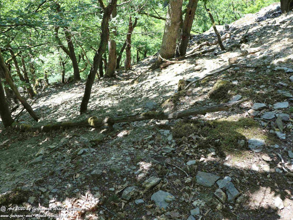 Philosophische Bildwanderung Wispertalsteig Wisper Trail - Taunus