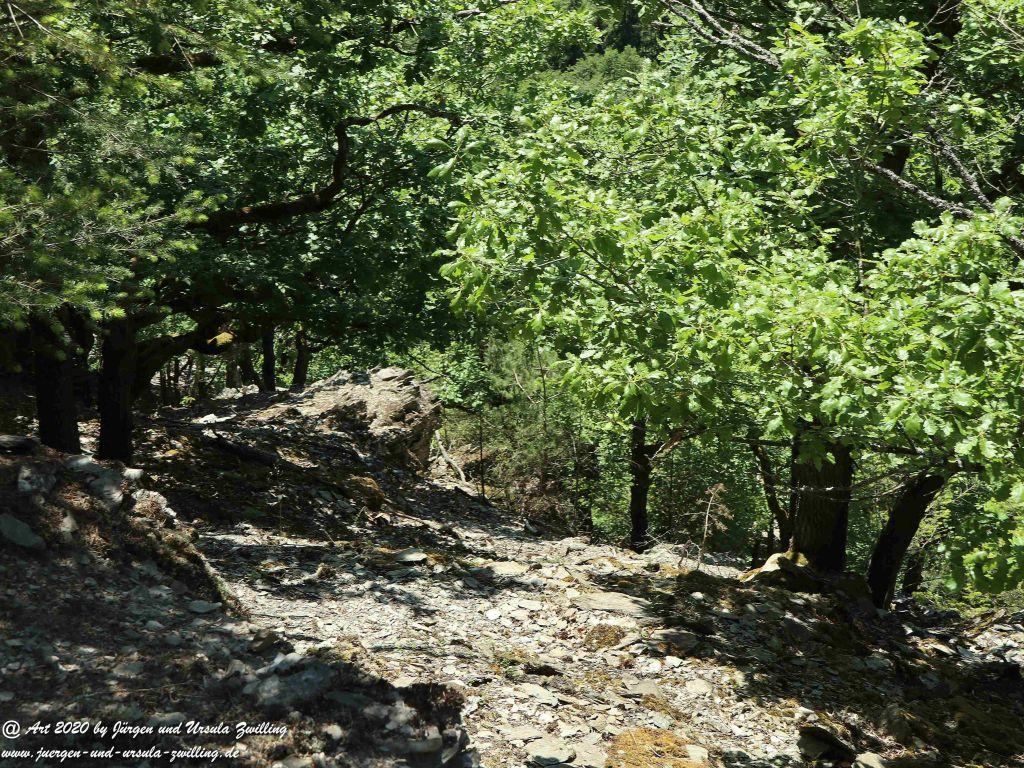 Philosophische Bildwanderung Wispertalsteig Wisper Trail - Taunus
