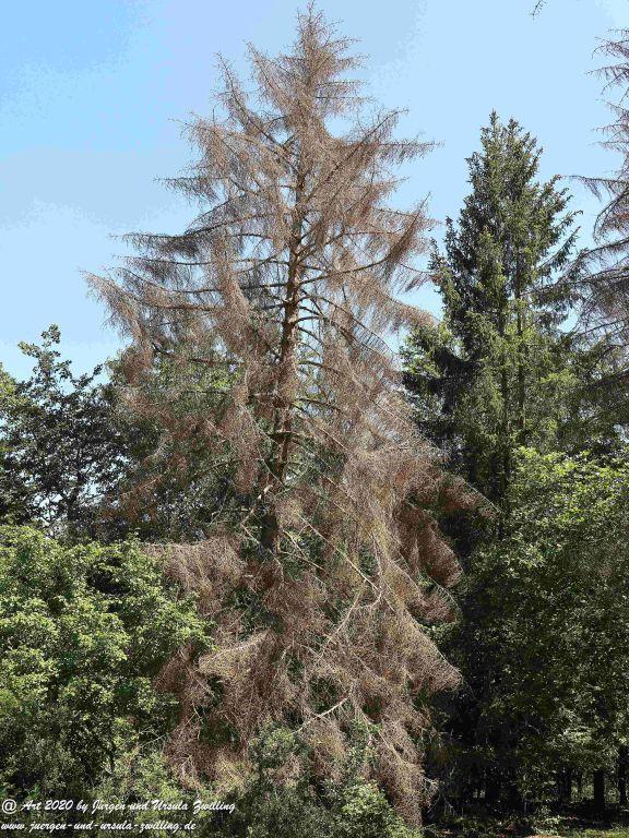 Philosophische Bildwanderung Wispertalsteig Wisper Trail - Taunus