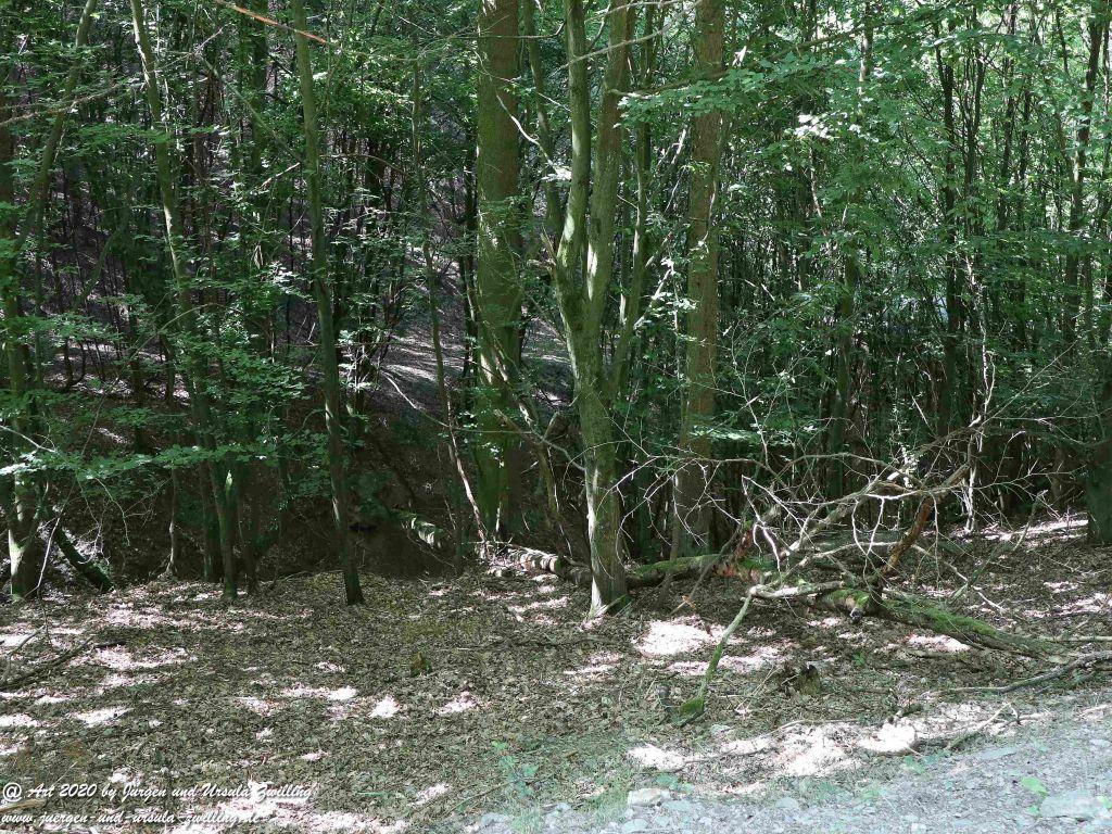 Philosophische Bildwanderung  Dickschieder Wildwechsel - Wisper Trail - Taunus