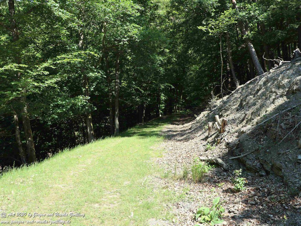 Philosophische Bildwanderung  Dickschieder Wildwechsel - Wisper Trail - Taunus