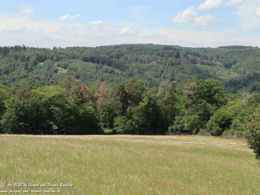 Philosophische Bildwanderung  Dickschieder Wildwechsel - Wisper Trail - Taunus