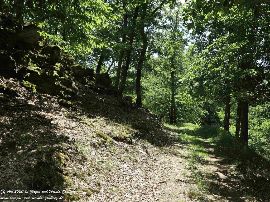 Philosophische Bildwanderung  Dickschieder Wildwechsel - Wisper Trail - Taunus