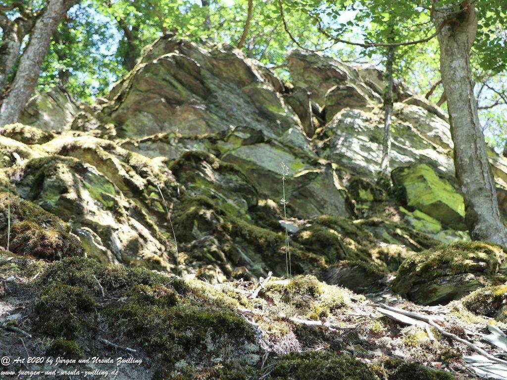 Philosophische Bildwanderung  Dickschieder Wildwechsel - Wisper Trail - Taunus