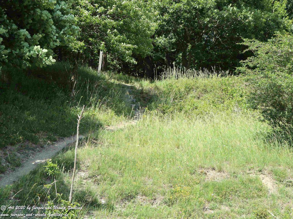 Philosophische Bildwanderung  Dickschieder Wildwechsel - Wisper Trail - Taunus