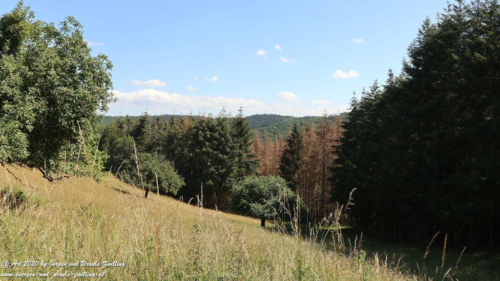 Philosophische Bildwanderung Via Monte Preso Wisper Trail - Taunus