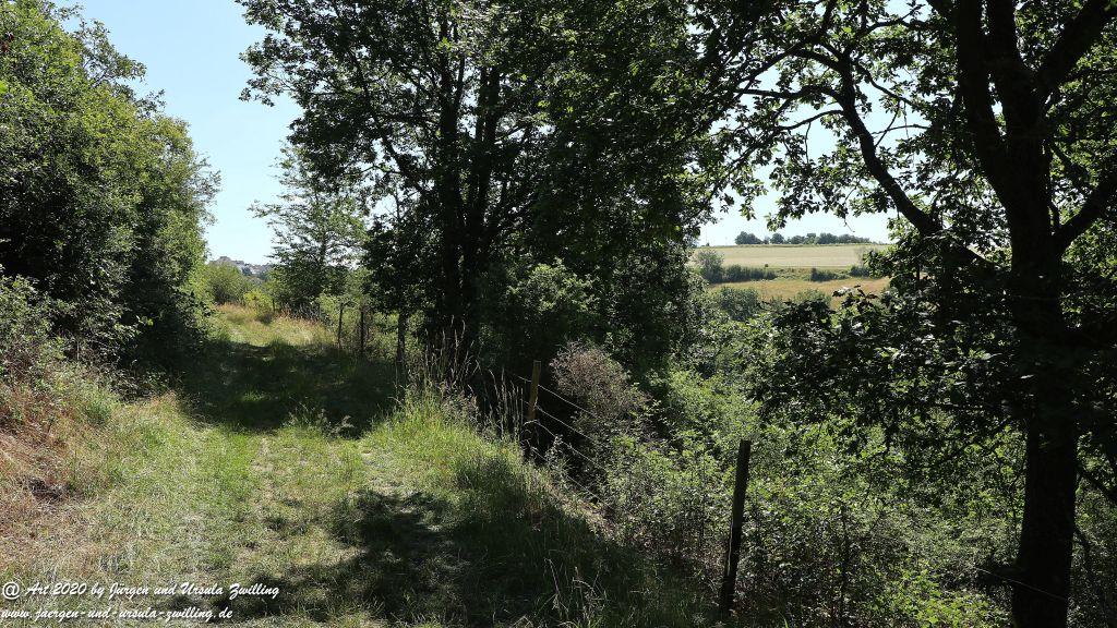 Philosophische Bildwanderung Via Monte Preso Wisper Trail - Taunus