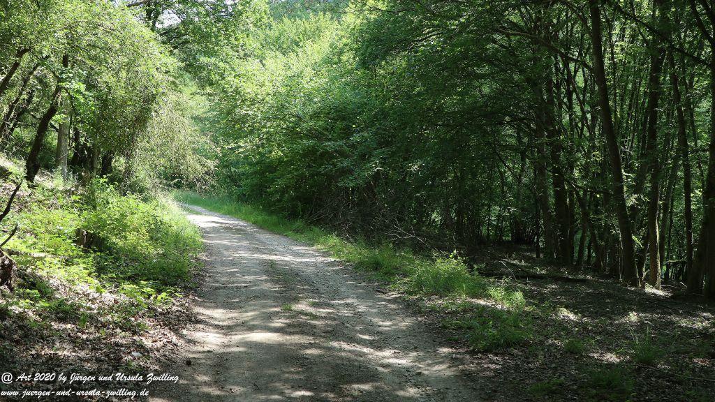 Philosophische Bildwanderung Via Monte Preso Wisper Trail - Taunus