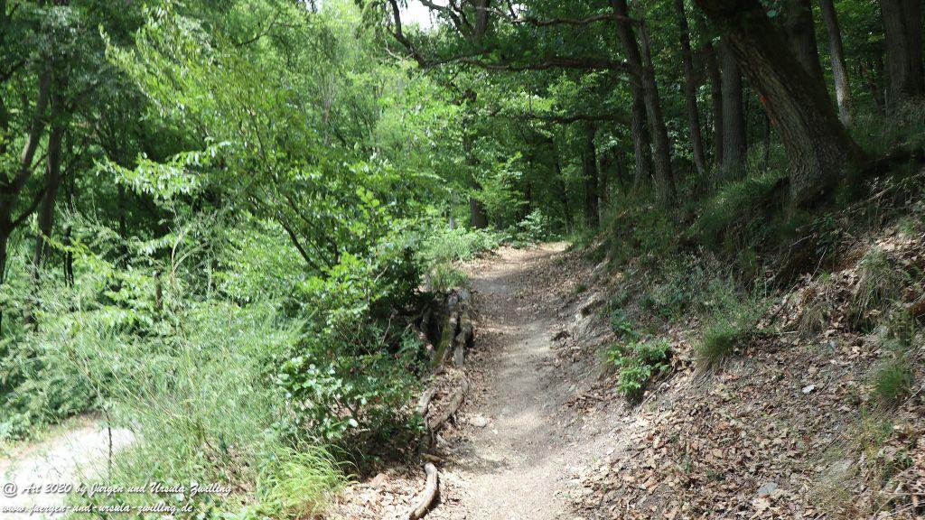 Philosophische Bildwanderung Via Monte Preso Wisper Trail - Taunus