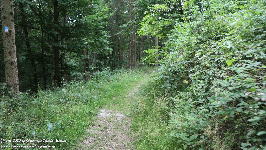 Philosophische Bildwanderung Via Monte Preso Wisper Trail - Taunus