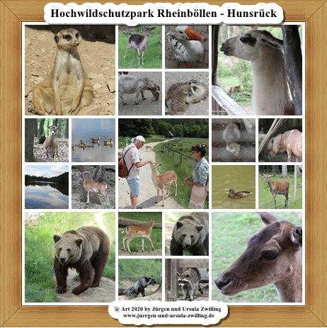 Hochwildschutzpark Rheinböllen - Hunsrück