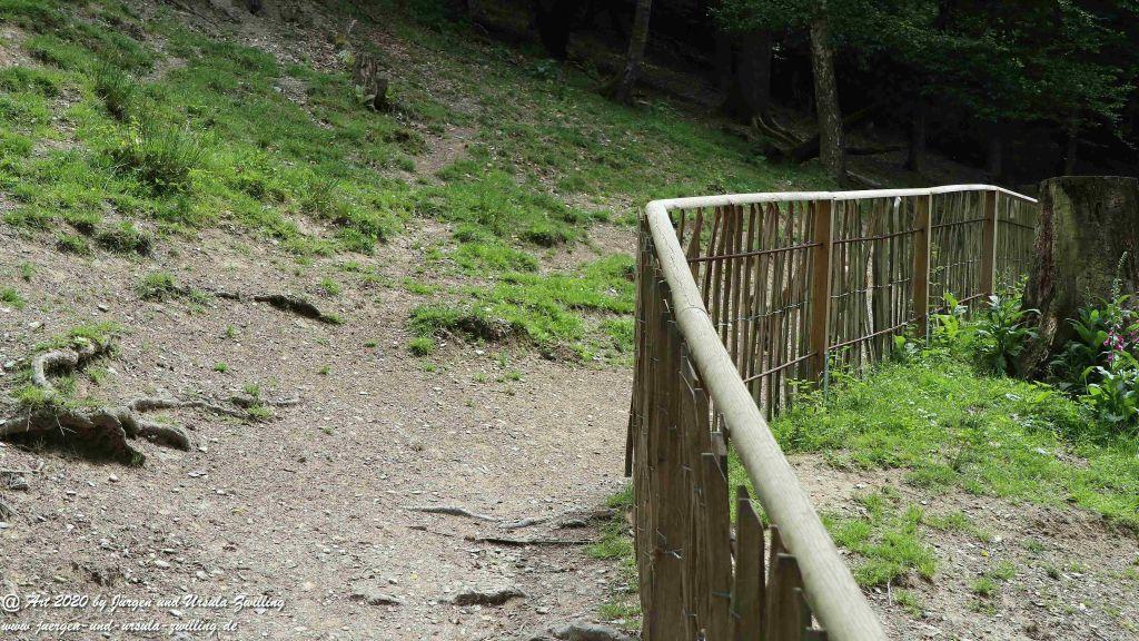Hochwildschutzpark Rheinböllen - Hunsrück