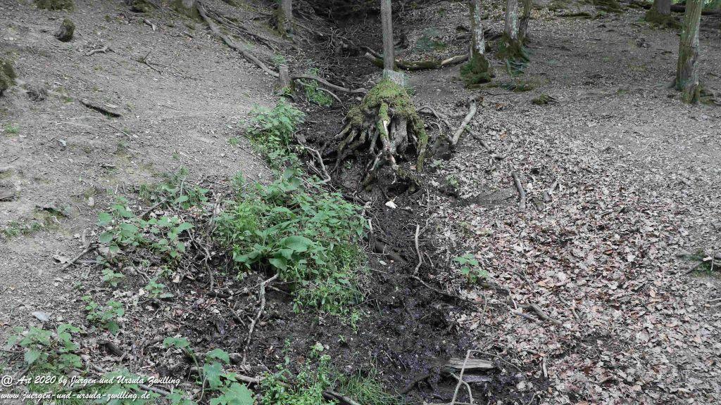 Hochwildschutzpark Rheinböllen - Hunsrück