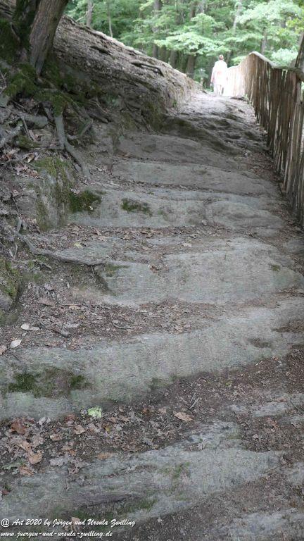 Hochwildschutzpark Rheinböllen - Hunsrück