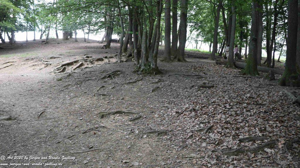 Hochwildschutzpark Rheinböllen - Hunsrück