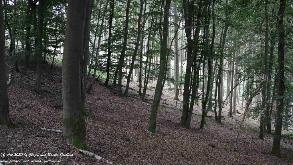 Hochwildschutzpark Rheinböllen - Hunsrück