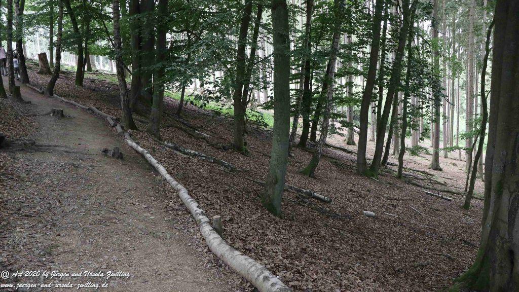 Hochwildschutzpark Rheinböllen - Hunsrück