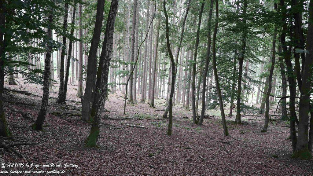 Hochwildschutzpark Rheinböllen - Hunsrück
