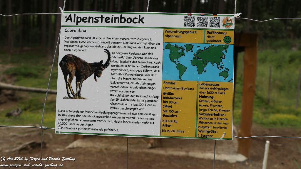 Hochwildschutzpark Rheinböllen - Hunsrück