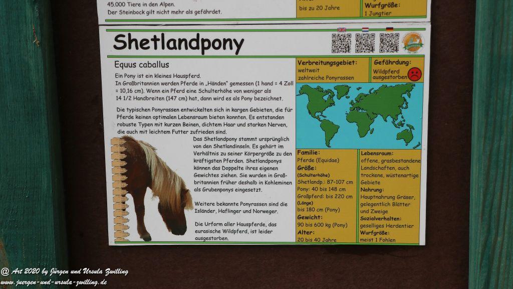 Hochwildschutzpark Rheinböllen - Hunsrück