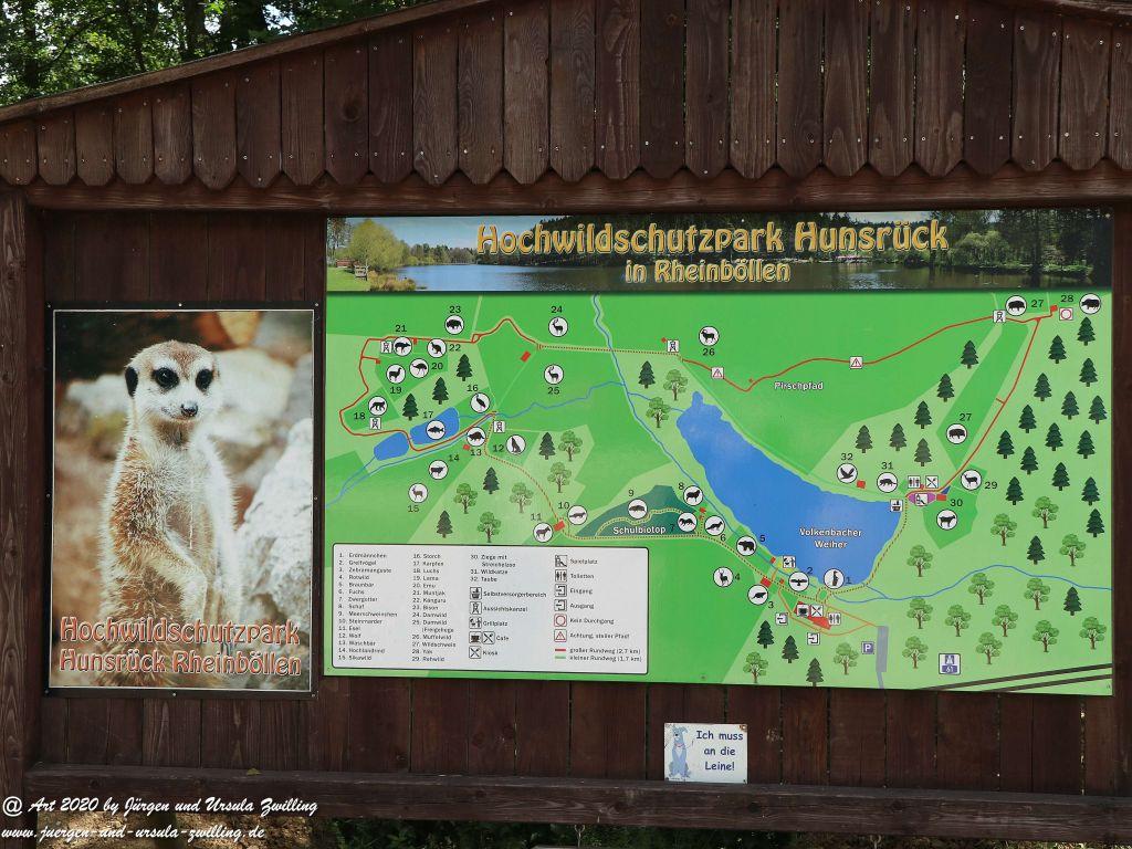Hochwildschutzpark Rheinböllen - Hunsrück