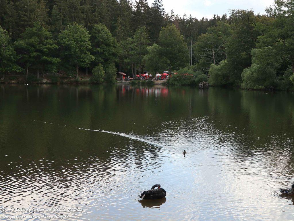 Hochwildschutzpark Rheinböllen - Hunsrück