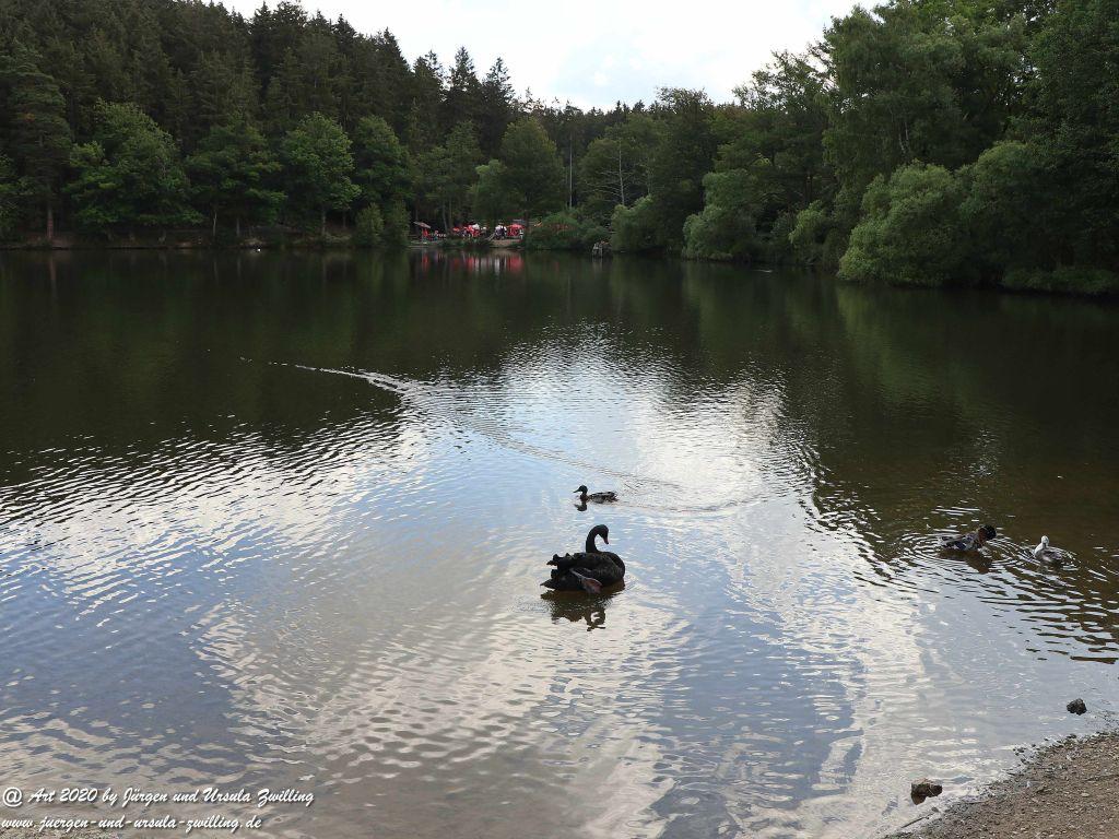Hochwildschutzpark Rheinböllen - Hunsrück