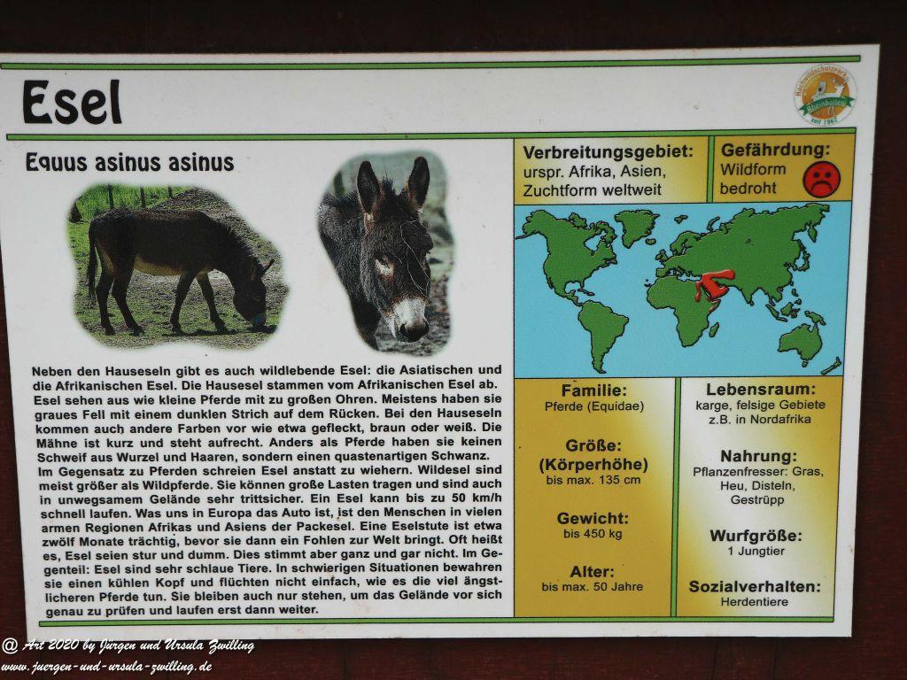 Hochwildschutzpark Rheinböllen - Hunsrück