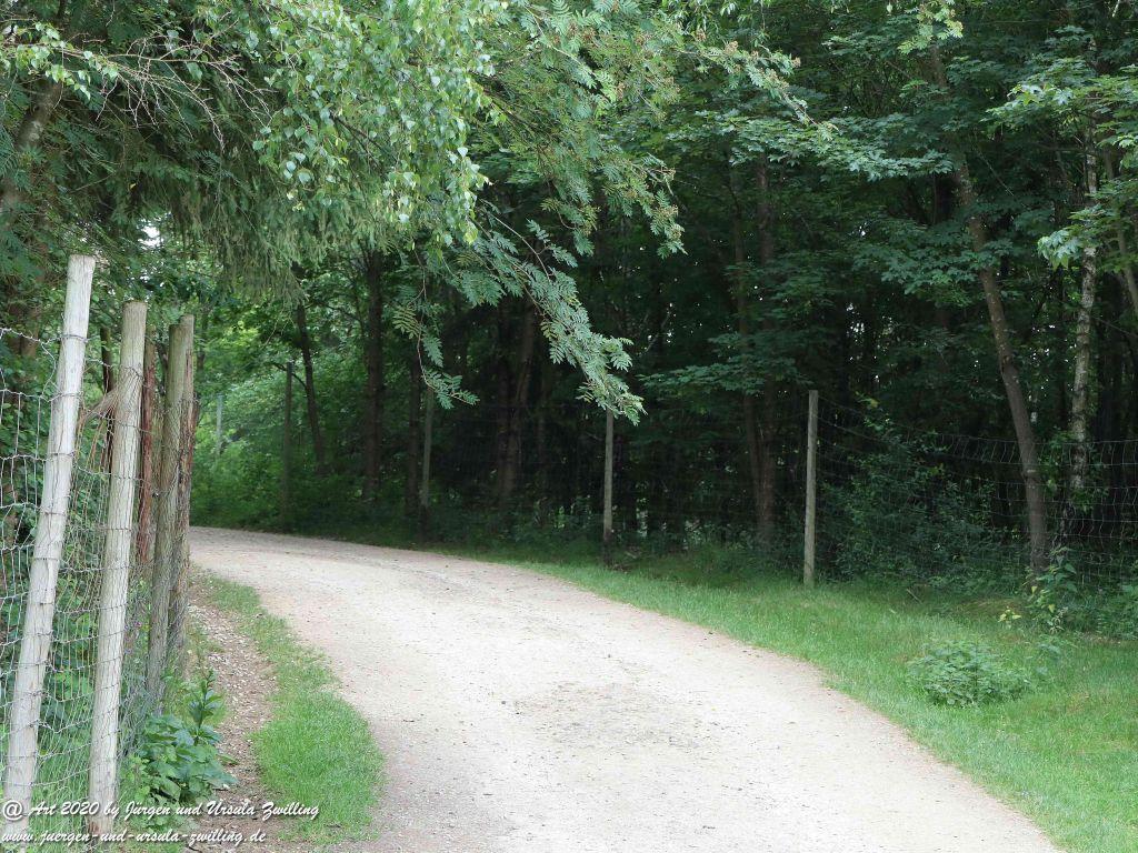 Hochwildschutzpark Rheinböllen - Hunsrück