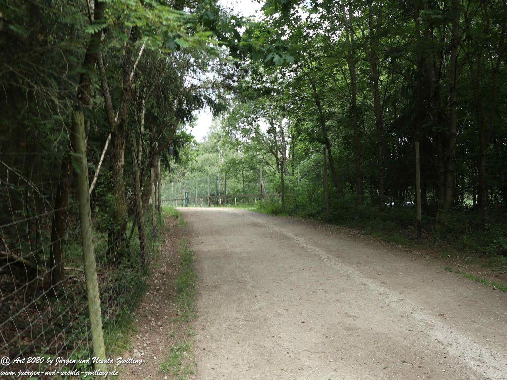 Hochwildschutzpark Rheinböllen - Hunsrück
