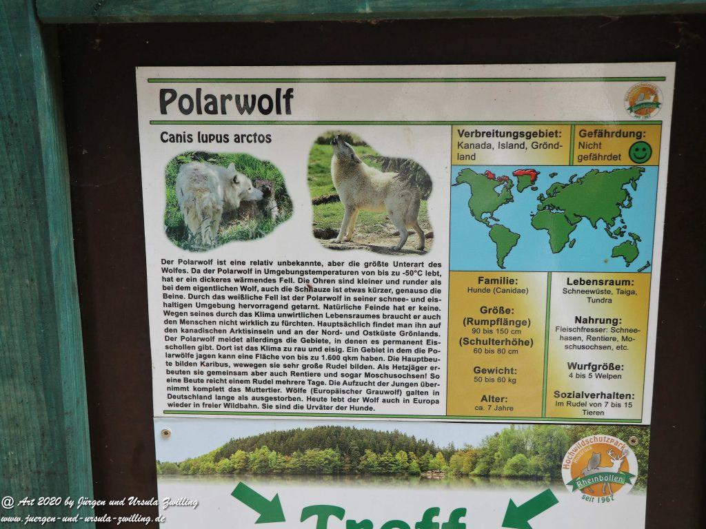 Hochwildschutzpark Rheinböllen - Hunsrück