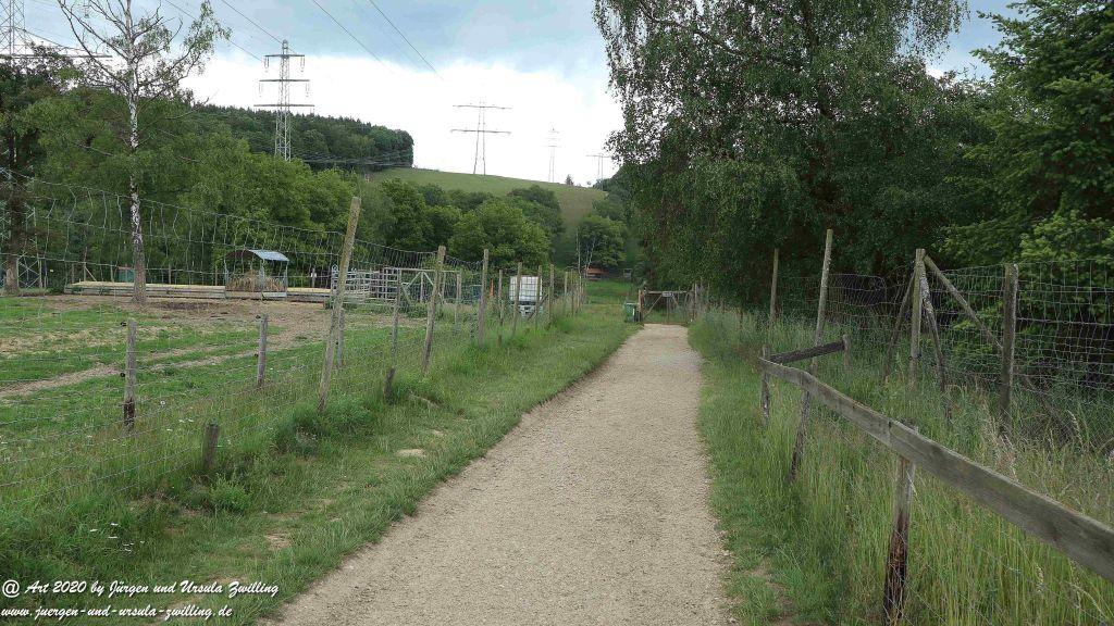 Hochwildschutzpark Rheinböllen - Hunsrück