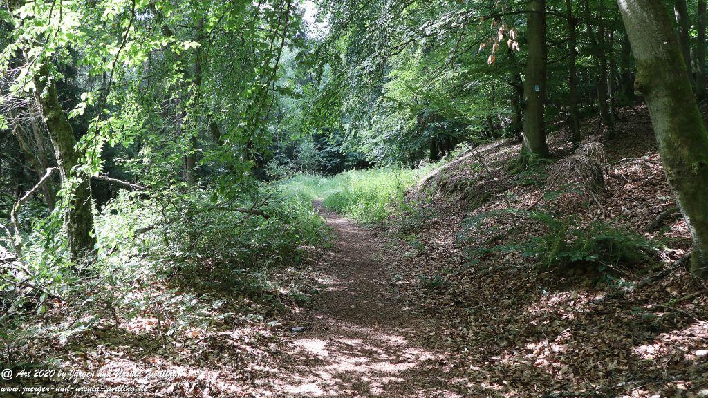 Philosophische Bildwanderung  Naurother Grubengold Wisper Trail - Taunus