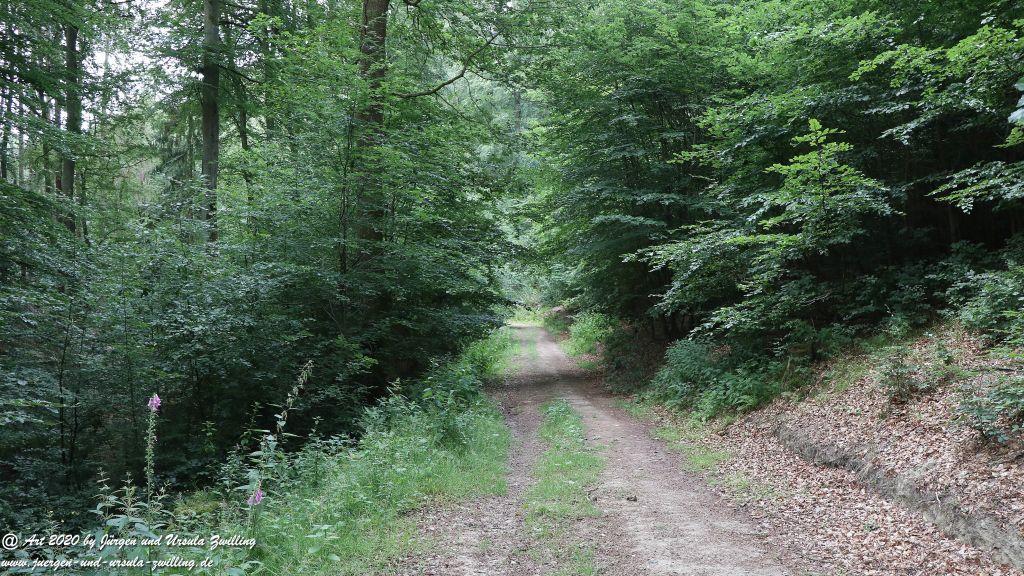 Philosophische Bildwanderung  Naurother Grubengold Wisper Trail - Taunus