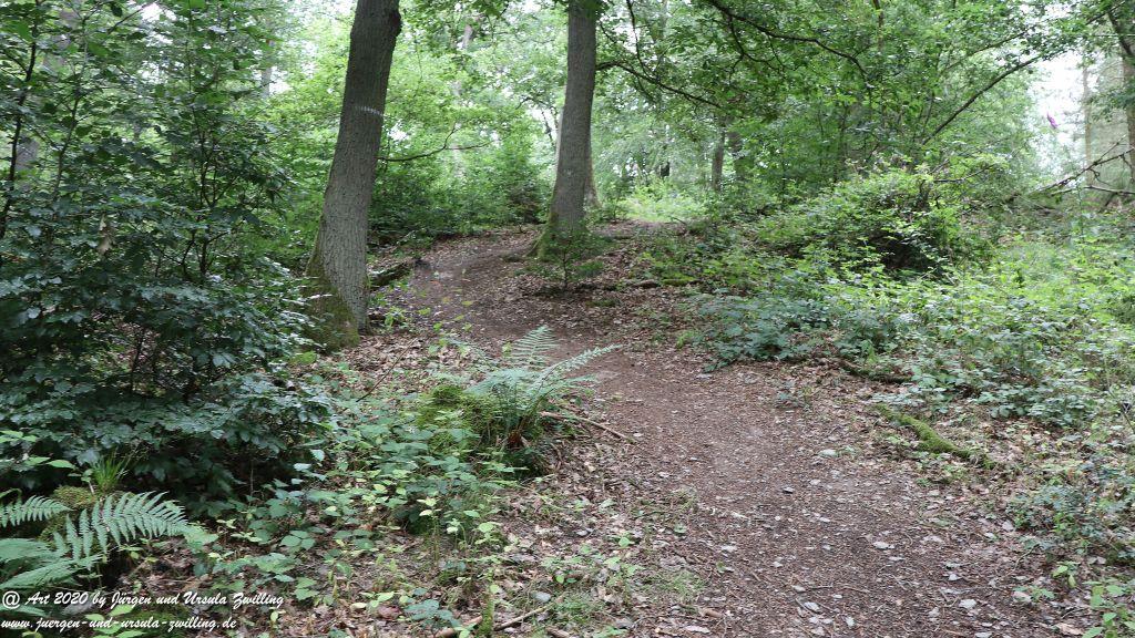 Philosophische Bildwanderung  Naurother Grubengold Wisper Trail - Taunus