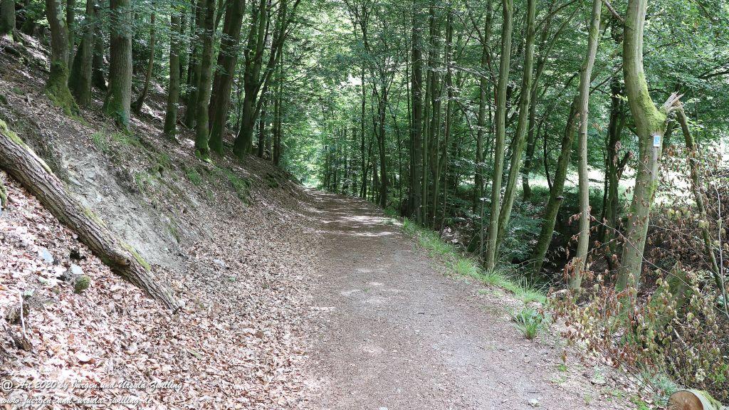 Philosophische Bildwanderung  Naurother Grubengold Wisper Trail - Taunus
