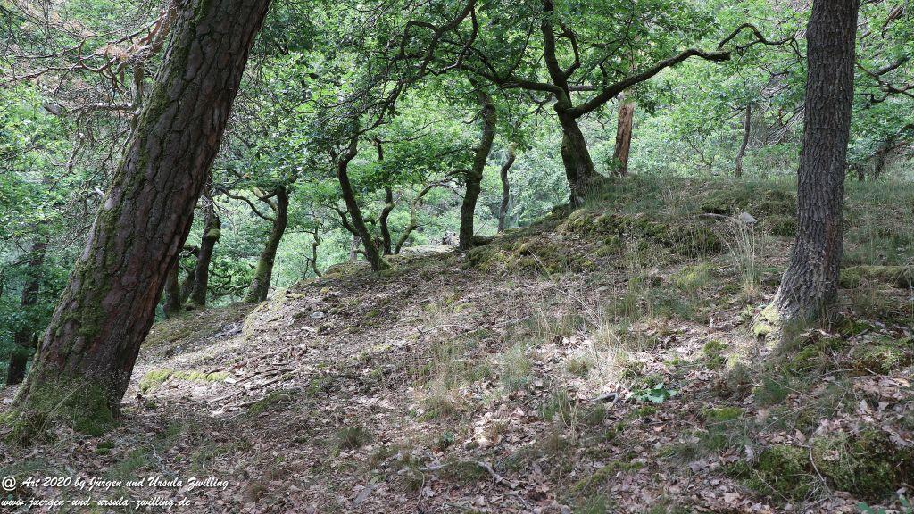 Philosophische Bildwanderung  Naurother Grubengold Wisper Trail - Taunus
