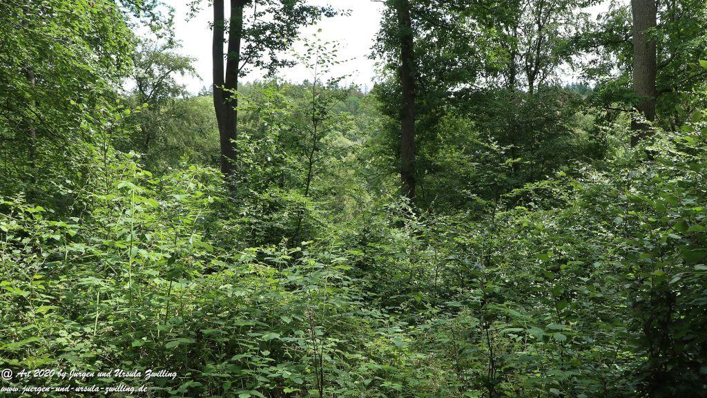 Philosophische Bildwanderung  Naurother Grubengold Wisper Trail - Taunus