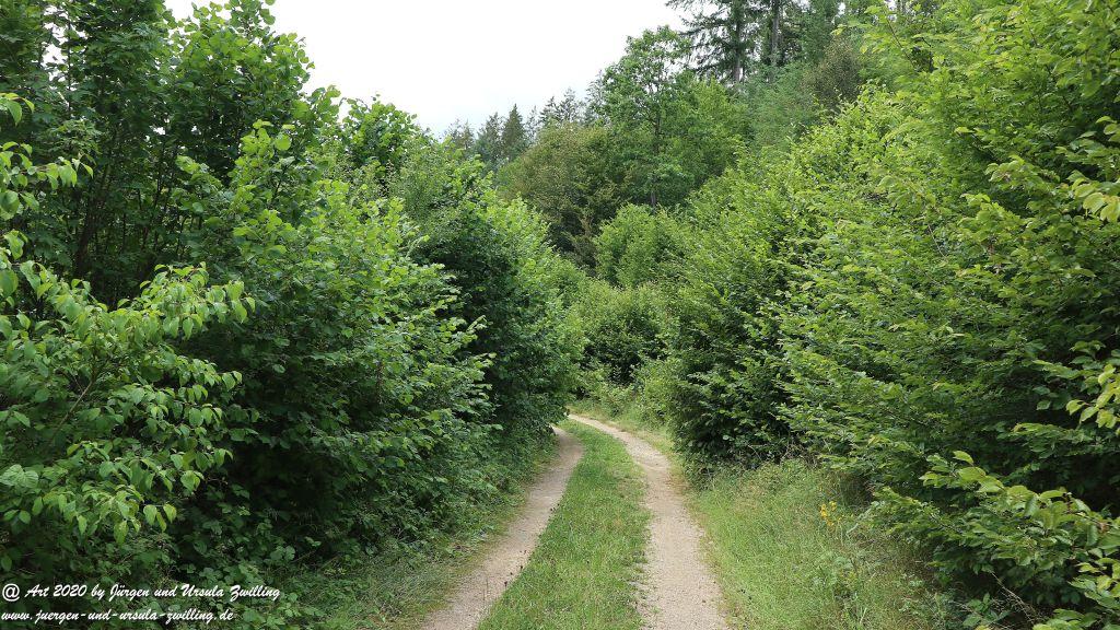 Philosophische Bildwanderung  Naurother Grubengold Wisper Trail - Taunus