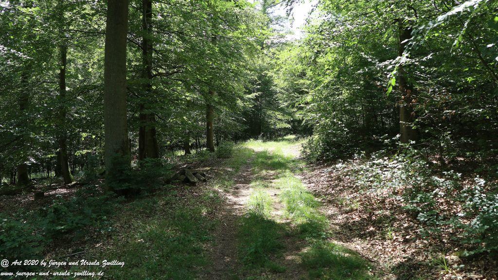 Philosophische Bildwanderung  Naurother Grubengold Wisper Trail - Taunus