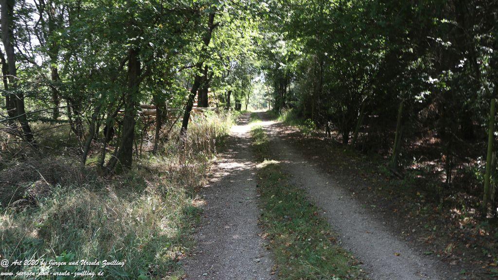 Philosophische Bildwanderung  Wisper Outback Wisper Trail - Taunus