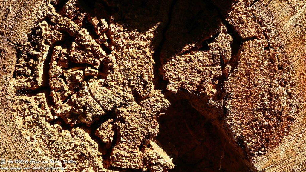 Philosophische Bildwanderung  Wisper Outback Wisper Trail - Taunus