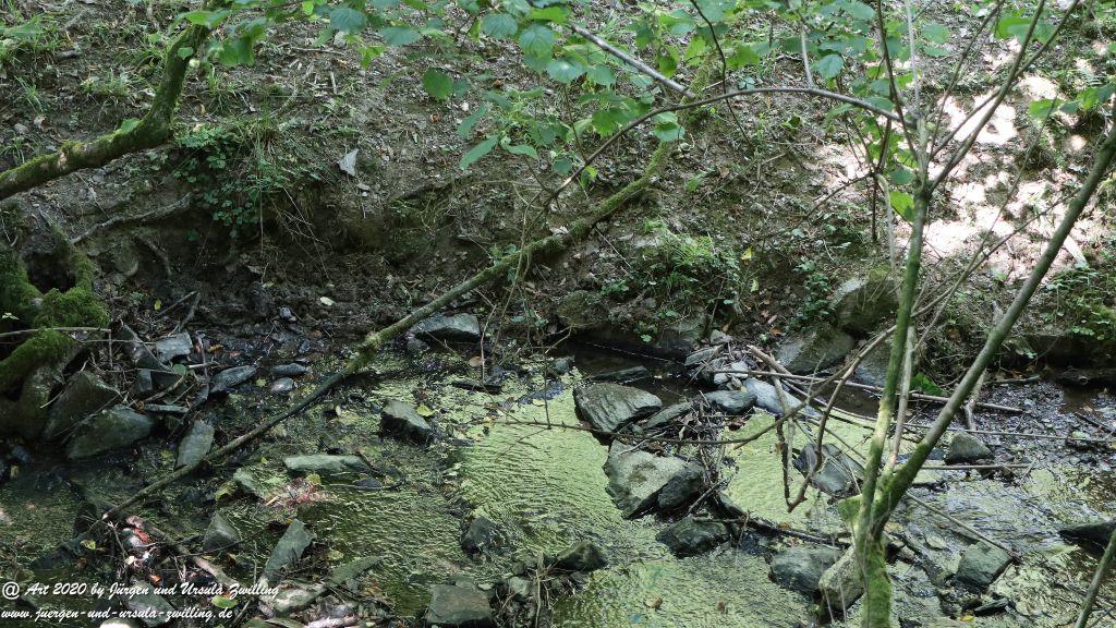 Philosophische Bildwanderung  Wisper Outback Wisper Trail - Taunus