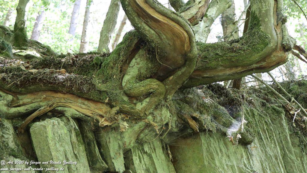 Philosophische Bildwanderung  Wisper Outback Wisper Trail - Taunus