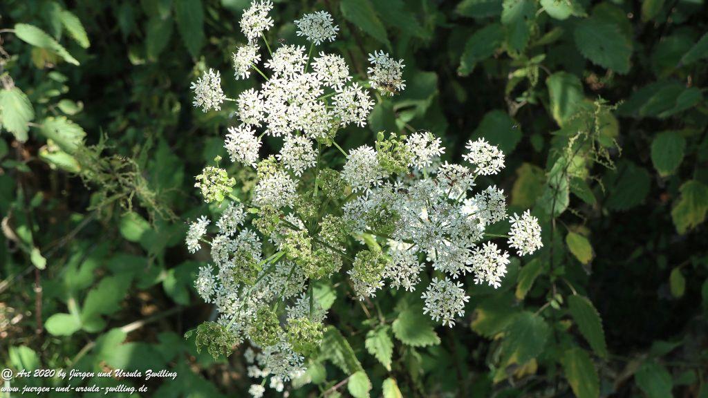 Philosophische Bildwanderung  Wisper Outback Wisper Trail - Taunus