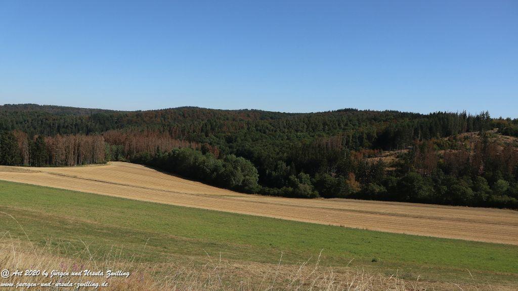Philosophische Bildwanderung  Der Überhöhische Wisper Trail - Taunus