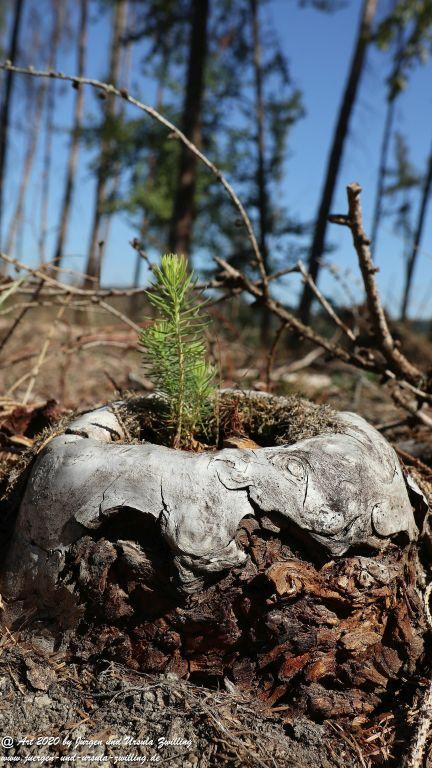 Philosophische Bildwanderung  Der Überhöhische Wisper Trail - Taunus